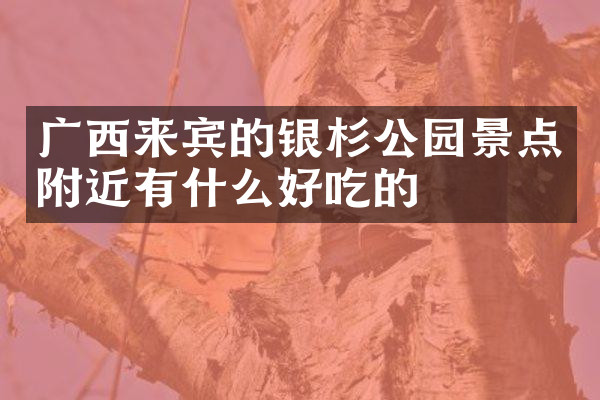 广西来宾的银杉公园景点附近有什么好吃的