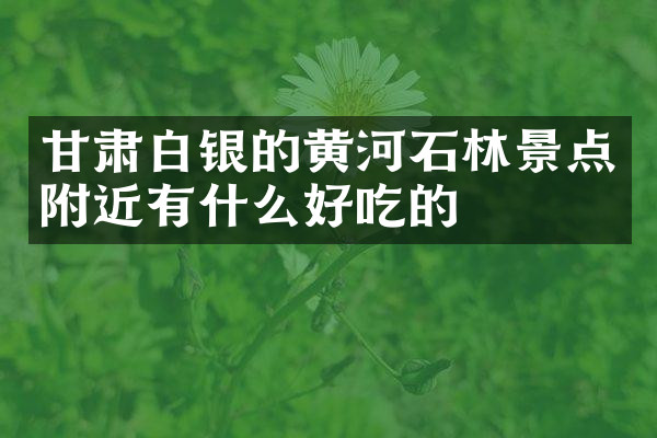 甘肃白银的黄河石林景点附近有什么好吃的
