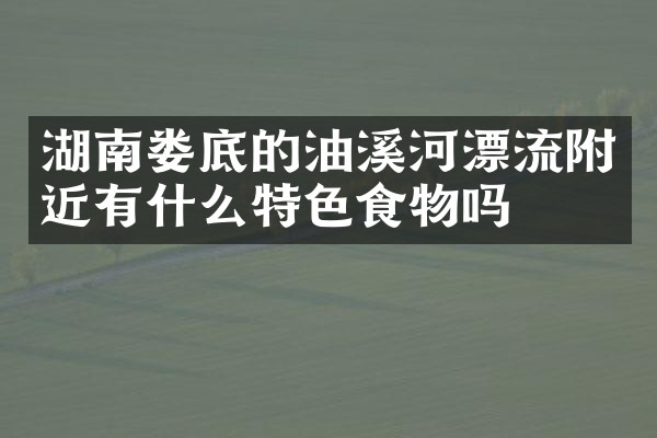 湖南娄底的油溪河漂流附近有什么特色食物吗