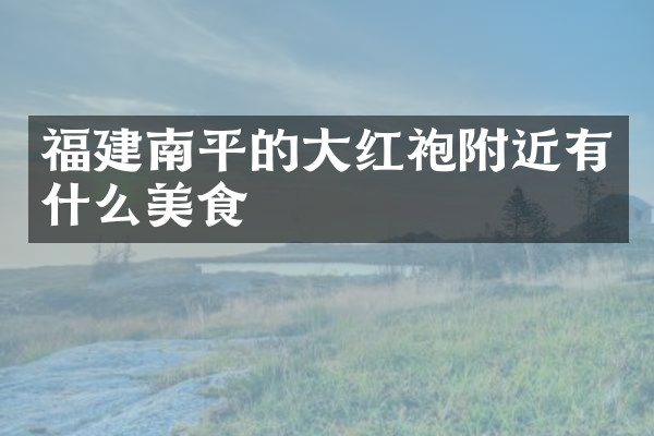 福建南平的大红袍附近有什么美食