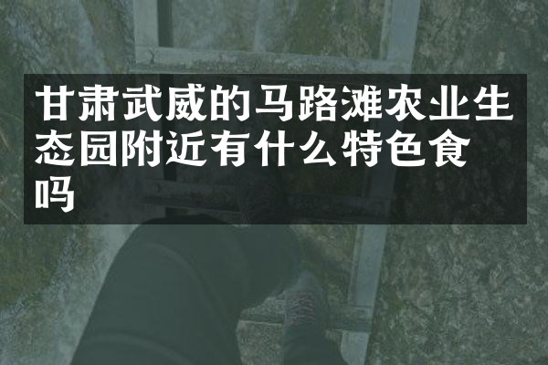 甘肃武威的马路滩农业生态园附近有什么特色食物吗