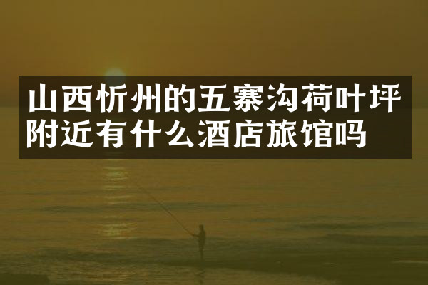 山西忻州的五寨沟荷叶坪附近有什么酒店旅馆吗