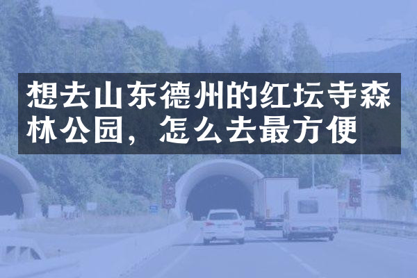 想去山东德州的红坛寺森林公园，怎么去最方便