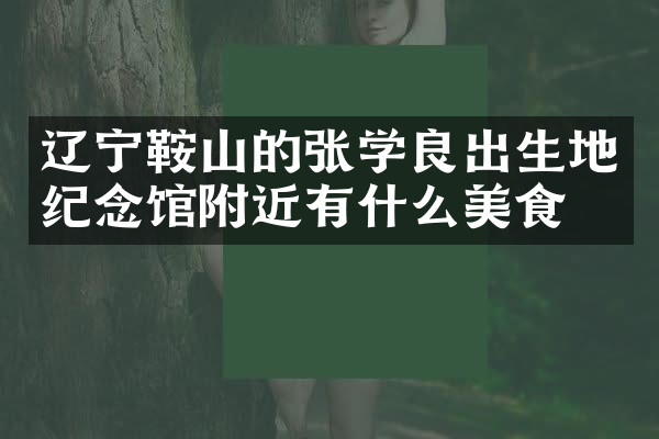 辽宁鞍山的张学良出生地纪念馆附近有什么美食