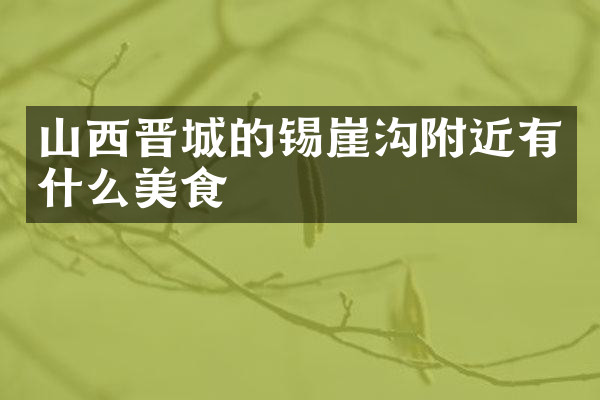 山西晋城的锡崖沟附近有什么美食
