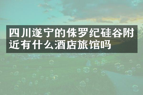 四川遂宁的侏罗纪硅谷附近有什么酒店旅馆吗