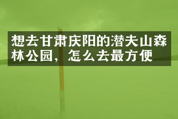 想去甘肃庆阳的潜夫山森林公园，怎么去最方便