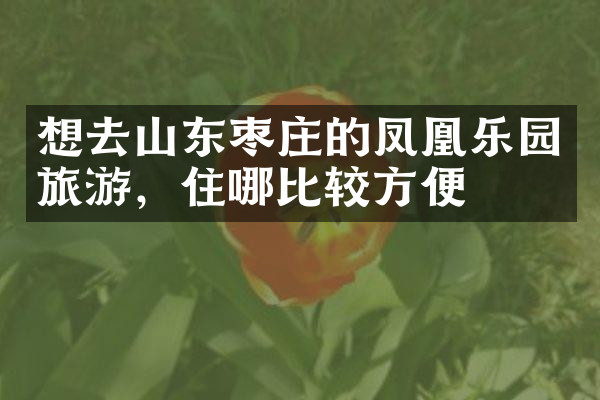 想去山东枣庄的凤凰乐园旅游，住哪比较方便