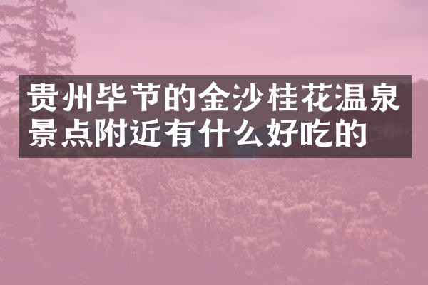 贵州毕节的金沙桂花温泉景点附近有什么好吃的