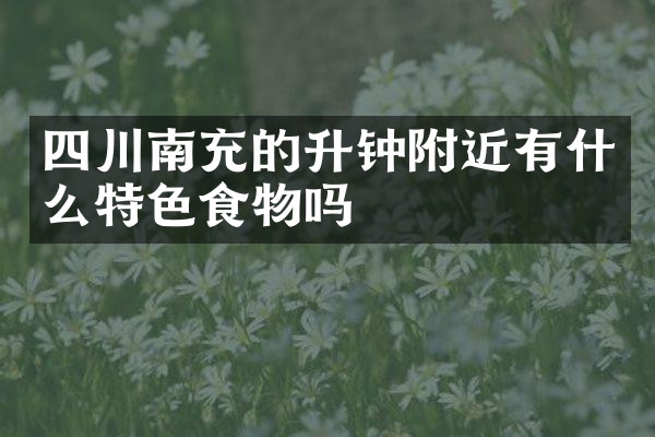 四川南充的升钟附近有什么特色食物吗