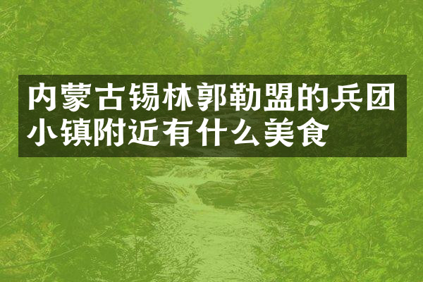 内蒙古锡林郭勒盟的兵团小镇附近有什么美食