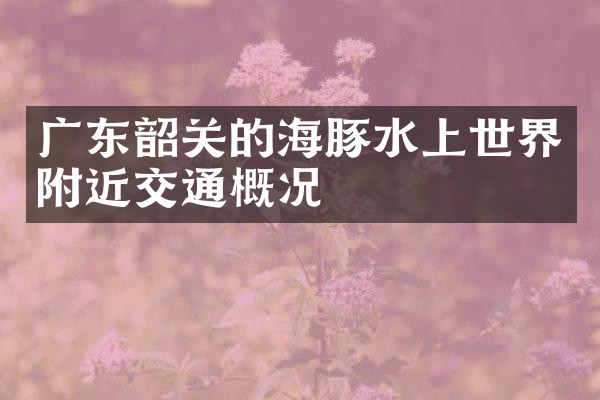 广东韶关的海豚水上世界附近交通概况