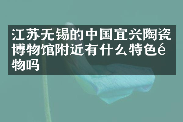江苏无锡的中国宜兴陶瓷博物馆附近有什么特色食物吗