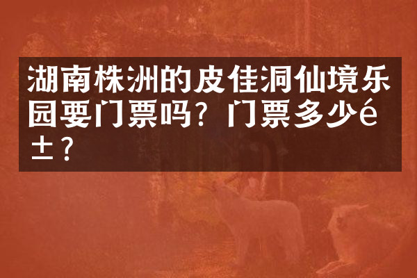 湖南株洲的皮佳洞仙境乐园要门票吗？门票多少钱？