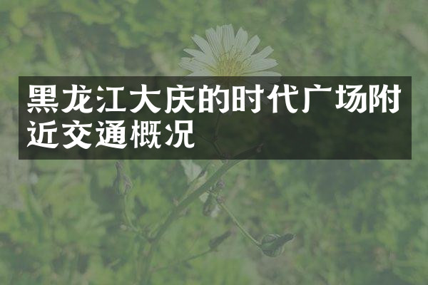 黑龙江大庆的时代广场附近交通概况
