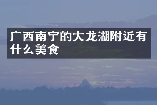 广西南宁的大龙湖附近有什么美食