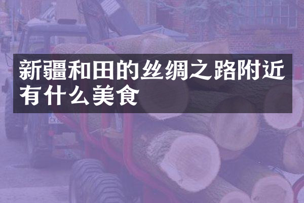 新疆和田的丝绸之路附近有什么美食