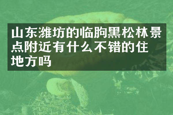 山东潍坊的临朐黑松林景点附近有什么不错的住的地方吗