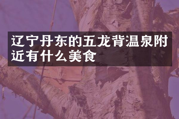 辽宁丹东的五龙背温泉附近有什么美食