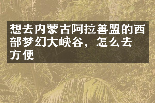 想去内蒙古阿拉善盟的西部梦幻大峡谷，怎么去最方便