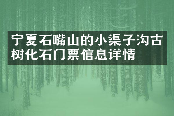 宁夏石嘴山的小渠子沟古树化石门票信息详情