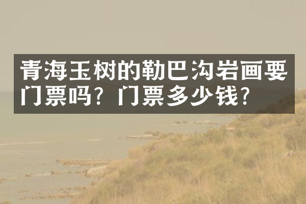 青海玉树的勒巴沟岩画要门票吗？门票多少钱？