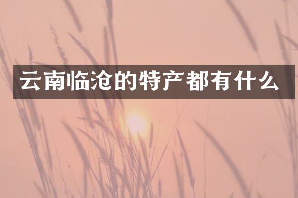 云南临沧的特产都有什么