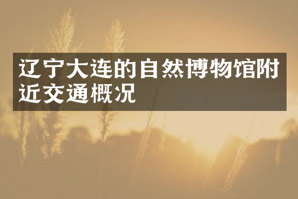 辽宁大连的自然博物馆附近交通概况