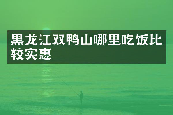 黑龙江双鸭山哪里吃饭比较实惠