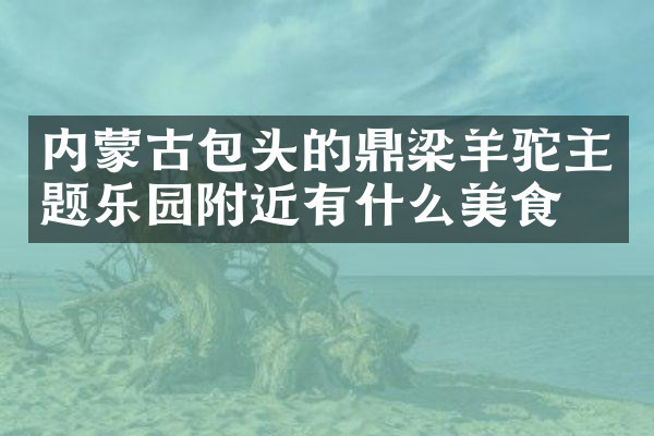 内蒙古包头的鼎梁羊驼主题乐园附近有什么美食