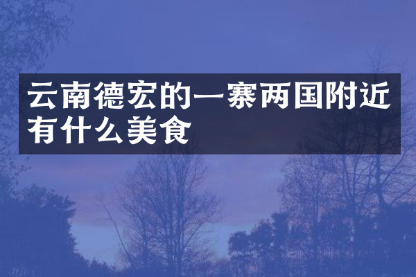 云南德宏的一寨两国附近有什么美食