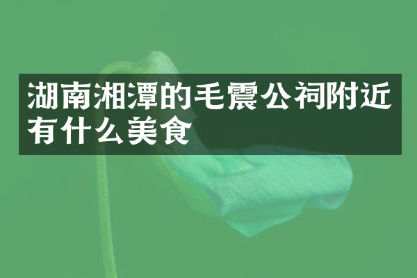 湖南湘潭的毛震公祠附近有什么美食