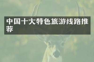中国十大特色旅游线路推荐