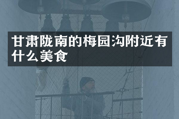 甘肃陇南的梅园沟附近有什么美食