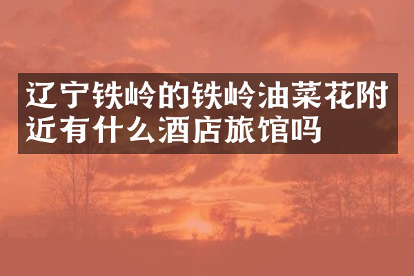 辽宁铁岭的铁岭油菜花附近有什么酒店旅馆吗