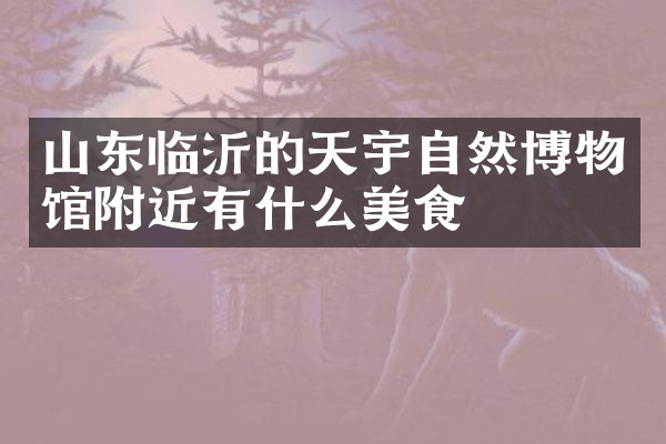 山东临沂的天宇自然博物馆附近有什么美食