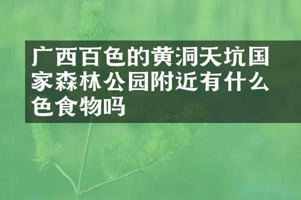 广西百色的黄猄洞天坑国家森林公园附近有什么特色食物吗