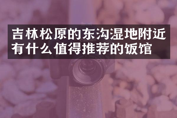 吉林松原的东沟湿地附近有什么值得推荐的饭馆吗