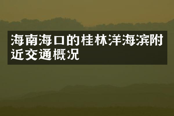 海南海口的桂林洋海滨附近交通概况