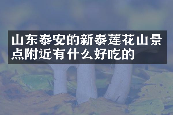 山东泰安的新泰莲花山景点附近有什么好吃的