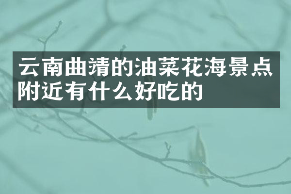 云南曲靖的油菜花海景点附近有什么好吃的