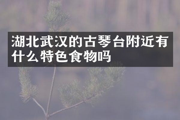 湖北武汉的古琴台附近有什么特色食物吗