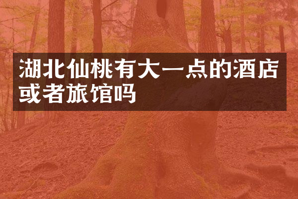 湖北仙桃有大一点的酒店或者旅馆吗