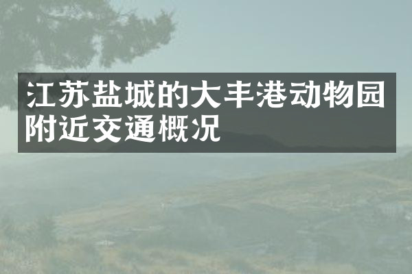 江苏盐城的大丰港动物园附近交通概况