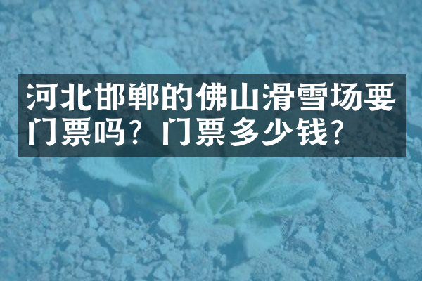 河北邯郸的佛山滑雪场要门票吗？门票多少钱？