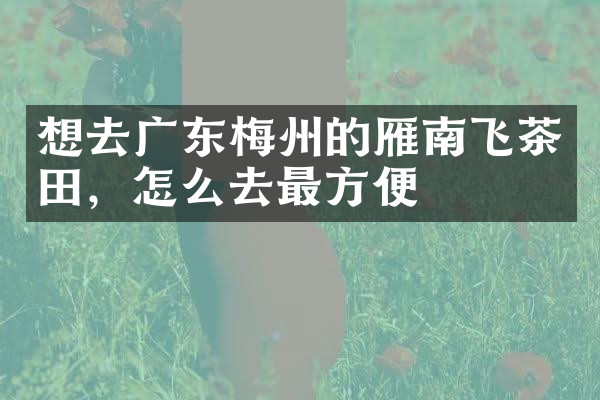 想去广东梅州的雁南飞茶田，怎么去最方便