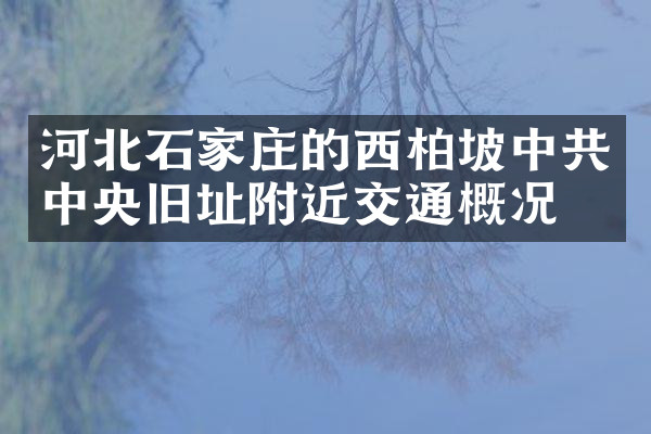 河北石家庄的西柏坡中共中央旧址附近交通概况