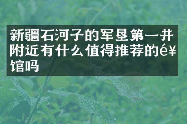 新疆石河子的军垦第一井附近有什么值得推荐的饭馆吗