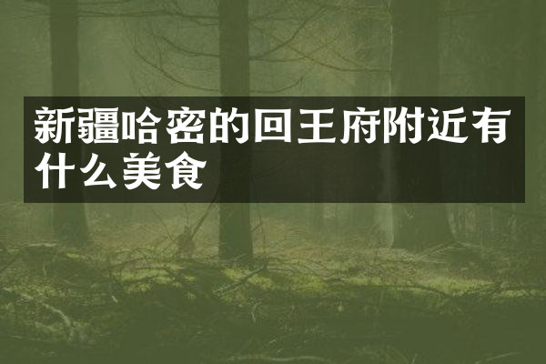 新疆哈密的回王府附近有什么美食