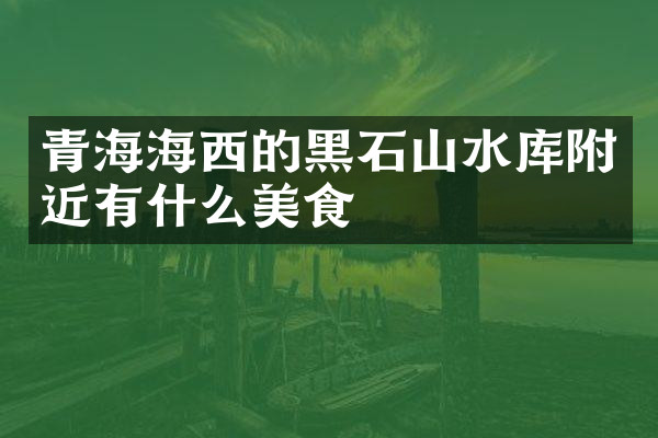 青海海西的黑石山水库附近有什么美食
